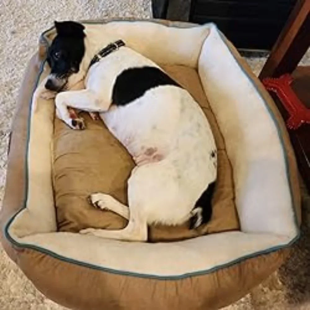 Small Dog Bed for Small Dogs Washable - Cat Beds for Indoor Cats, 20 Inches Rect